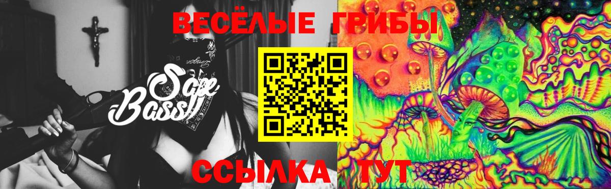 Псилоцибиновые грибы Psilocybe  Вход с VPN  Псилоцибиновые грибы прущие грибы  Амурск 