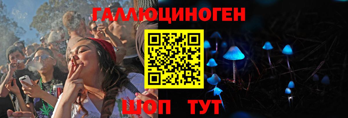 Галлюциногенные грибы Psilocybine cubensis Амурск
